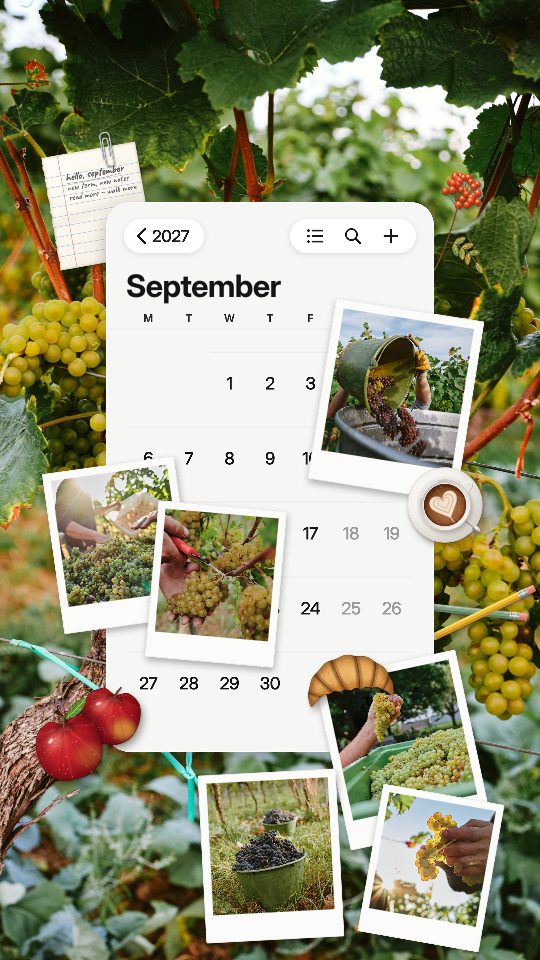 September 2027, a story template