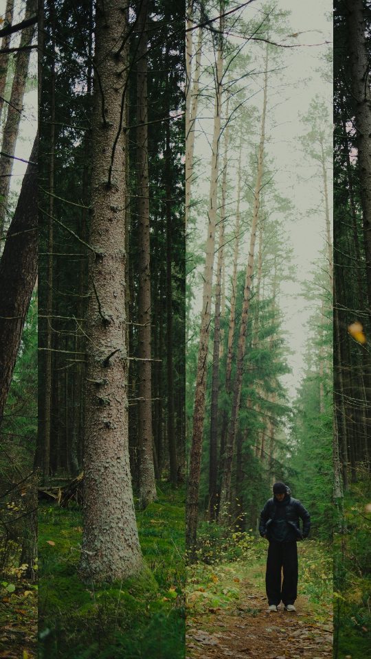 Loop Columns, a story template