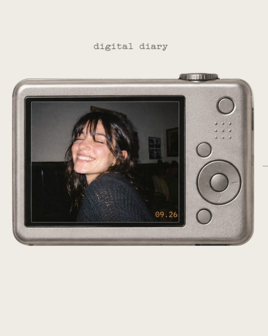 Digital Diary, a carousel template, 3 pages