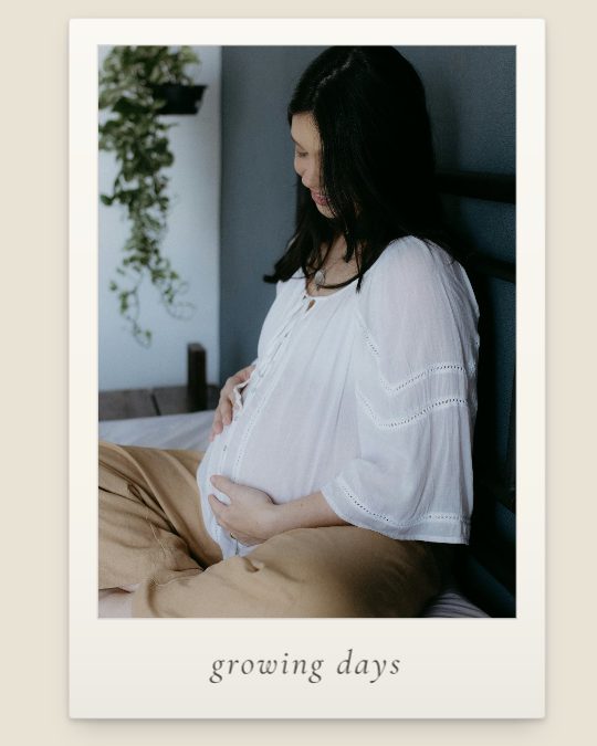 Growing Days, a carousel template, 3 pages