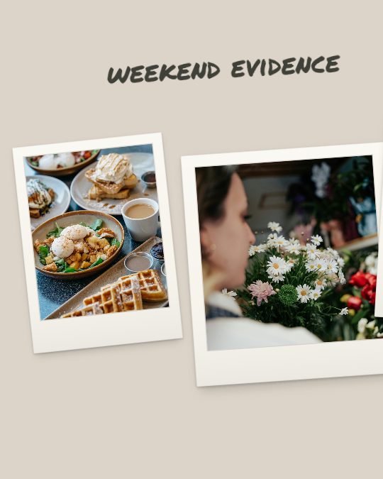 Weekend Evidence, a carousel template, 3 pages