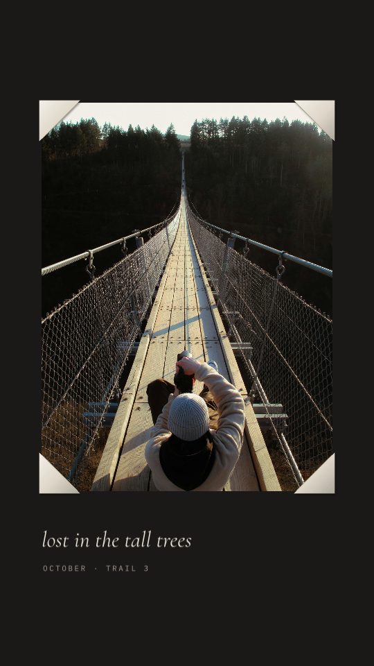 Album Corners, a story template