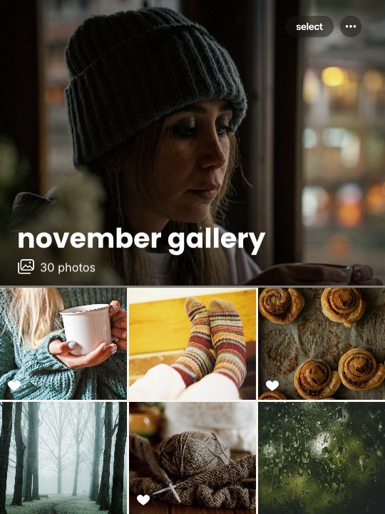 November Gallery, a carousel template, 6 pages