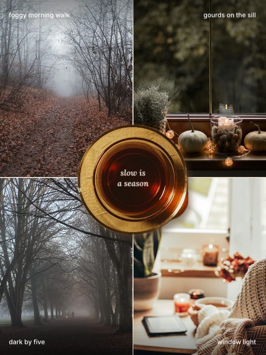 Slow Tea, a carousel template, 4 pages