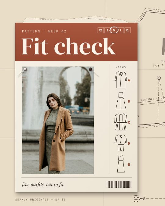 Fit Check, a carousel template, 5 pages