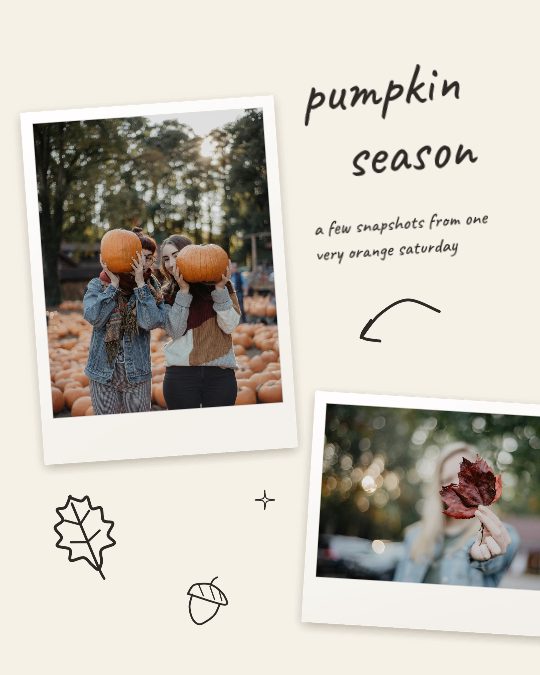 Scribbled, a carousel template, 5 pages