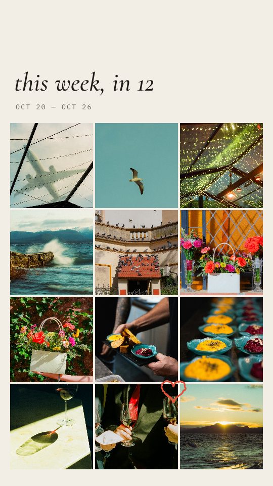 Story Grid, a story template