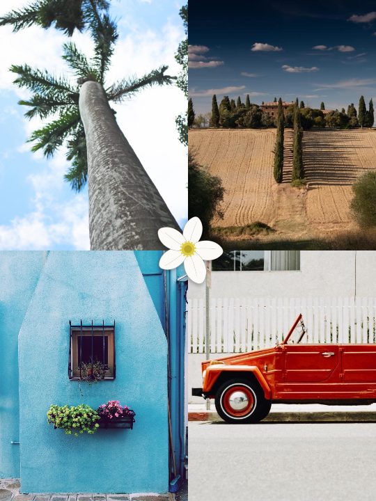 Riviera, a collage post template