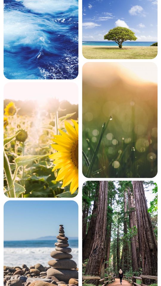 Soft Columns, a story template